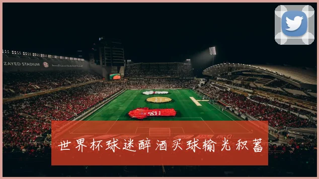 世界杯球迷醉酒买球输光积蓄