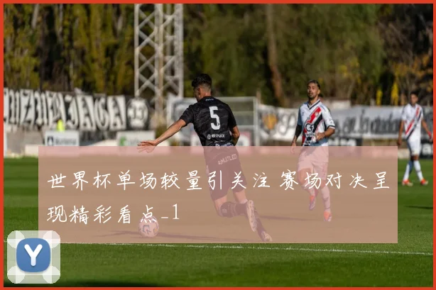 世界杯单场较量引关注 赛场对决呈现精彩看点_1