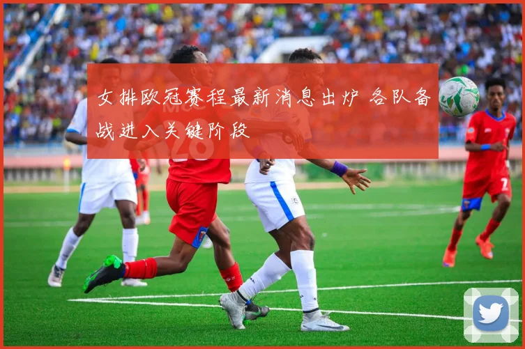女排欧冠赛程最新消息出炉 各队备战进入关键阶段