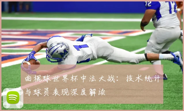 曲棍球世界杯中法大战：技术统计与球员表现深度解读