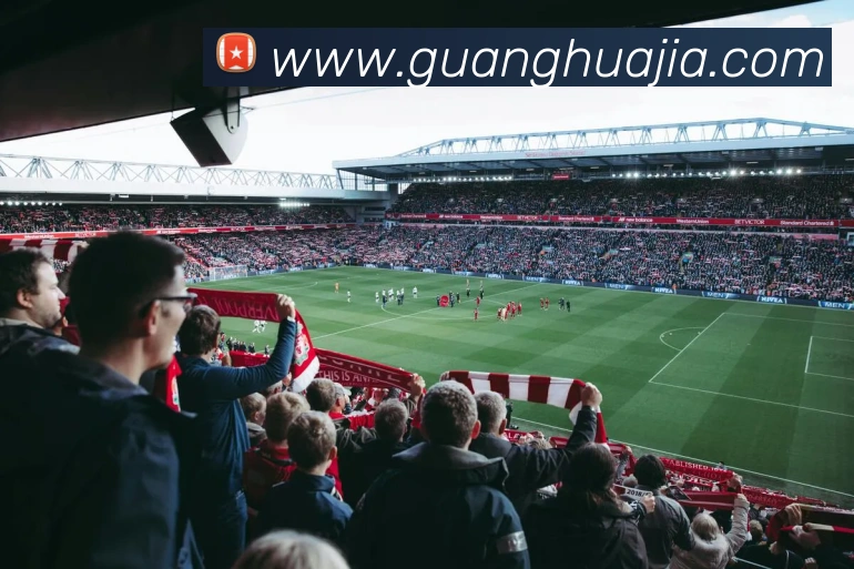 完美体育官网入口网页APP 封面图